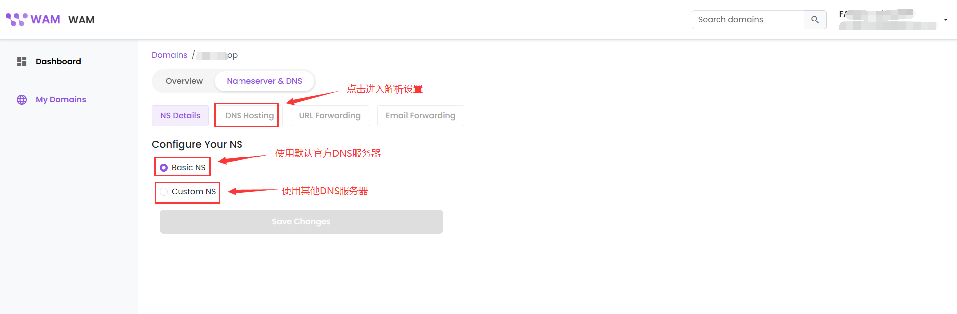 设置官方 DNS 或自定义 DNS 服务器 设置官方 DNS 或自定义 DNS 服务器